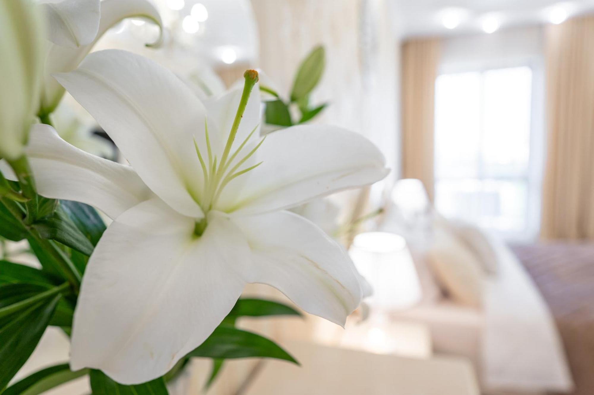 красивая в центре одессы Apartament Odessa